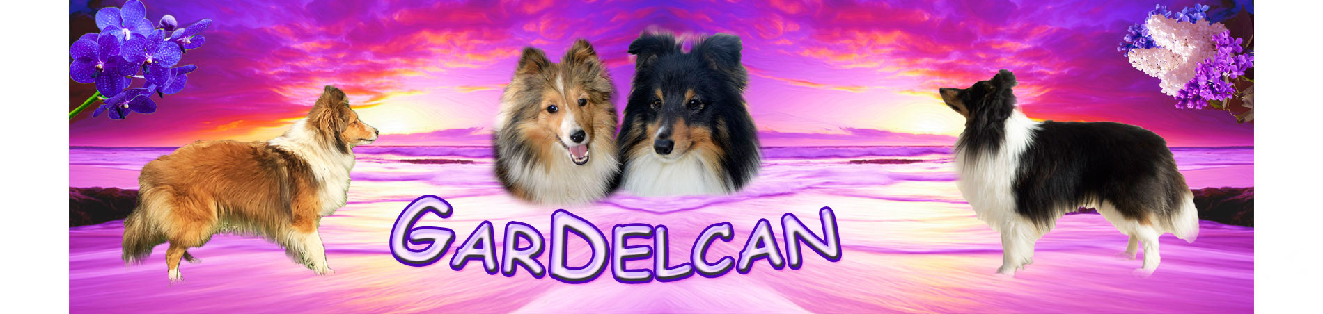 gardelcan kennel criadero